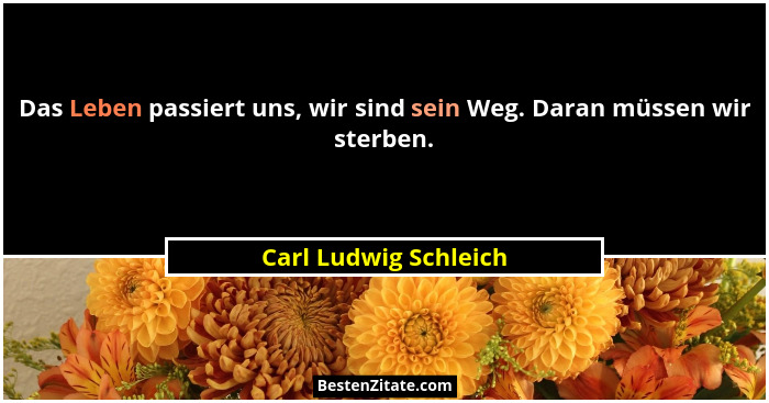 Das Leben passiert uns, wir sind sein Weg. Daran müssen wir sterben.... - Carl Ludwig Schleich