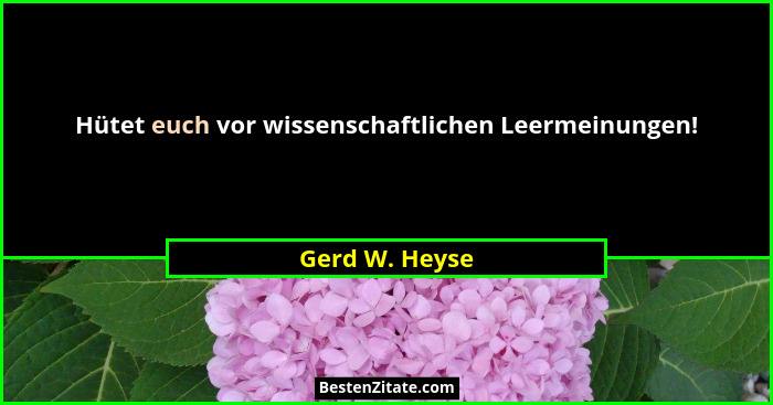 Hütet euch vor wissenschaftlichen Leermeinungen!... - Gerd W. Heyse