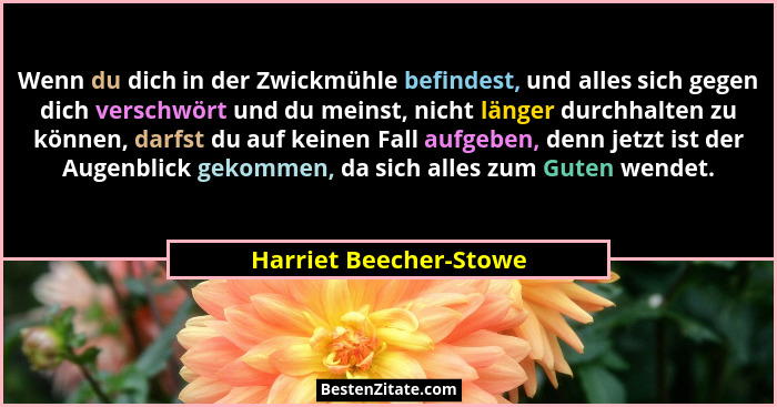 Wenn du dich in der Zwickmühle befindest, und alles sich gegen dich verschwört und du meinst, nicht länger durchhalten zu könn... - Harriet Beecher-Stowe