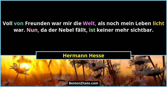 Voll von Freunden war mir die Welt, als noch mein Leben licht war. Nun, da der Nebel fällt, ist keiner mehr sichtbar.... - Hermann Hesse