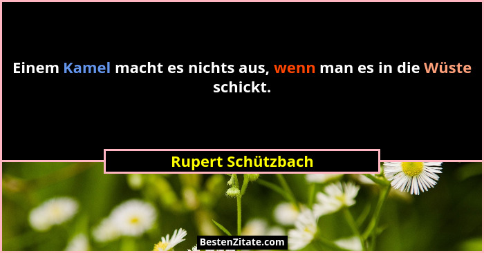 Einem Kamel macht es nichts aus, wenn man es in die Wüste schickt.... - Rupert Schützbach