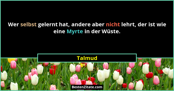 Wer selbst gelernt hat, andere aber nicht lehrt, der ist wie eine Myrte in der Wüste.... - Talmud