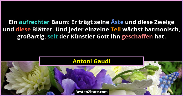 Ein aufrechter Baum: Er trägt seine Äste und diese Zweige und diese Blätter. Und jeder einzelne Teil wächst harmonisch, großartig, seit... - Antoni Gaudi