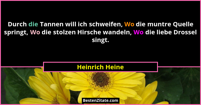 Durch die Tannen will ich schweifen, Wo die muntre Quelle springt, Wo die stolzen Hirsche wandeln, Wo die liebe Drossel singt.... - Heinrich Heine