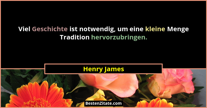 Viel Geschichte ist notwendig, um eine kleine Menge Tradition hervorzubringen.... - Henry James
