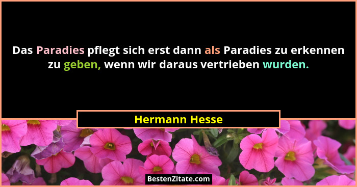 Das Paradies pflegt sich erst dann als Paradies zu erkennen zu geben, wenn wir daraus vertrieben wurden.... - Hermann Hesse