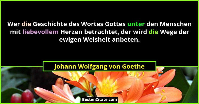 Wer die Geschichte des Wortes Gottes unter den Menschen mit liebevollem Herzen betrachtet, der wird die Wege der ewigen W... - Johann Wolfgang von Goethe