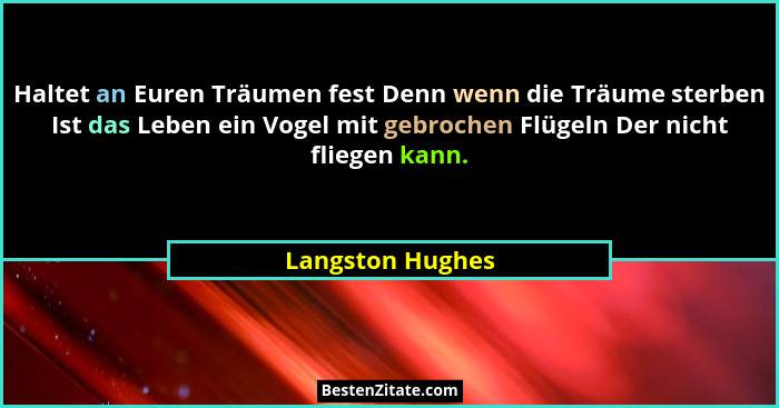 Haltet an Euren Träumen fest Denn wenn die Träume sterben Ist das Leben ein Vogel mit gebrochen Flügeln Der nicht fliegen kann.... - Langston Hughes