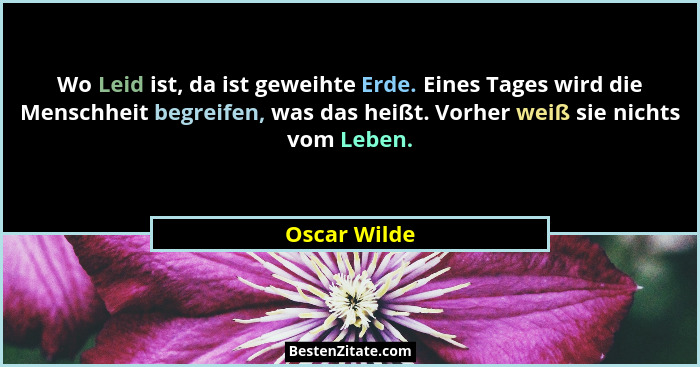 Wo Leid ist, da ist geweihte Erde. Eines Tages wird die Menschheit begreifen, was das heißt. Vorher weiß sie nichts vom Leben.... - Oscar Wilde
