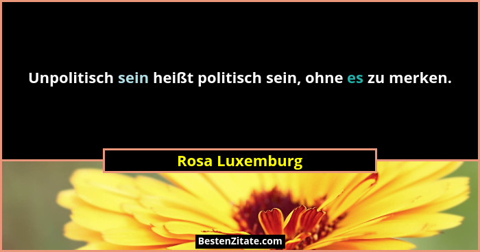 Unpolitisch sein heißt politisch sein, ohne es zu merken.... - Rosa Luxemburg
