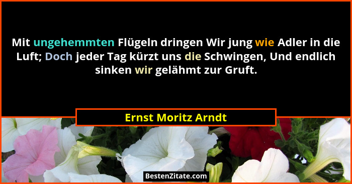 Mit ungehemmten Flügeln dringen Wir jung wie Adler in die Luft; Doch jeder Tag kürzt uns die Schwingen, Und endlich sinken wir ge... - Ernst Moritz Arndt