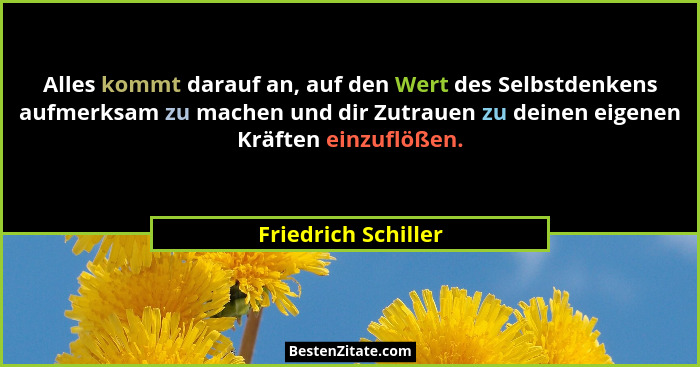 Alles kommt darauf an, auf den Wert des Selbstdenkens aufmerksam zu machen und dir Zutrauen zu deinen eigenen Kräften einzuflößen... - Friedrich Schiller