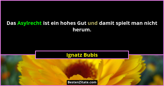Das Asylrecht ist ein hohes Gut und damit spielt man nicht herum.... - Ignatz Bubis