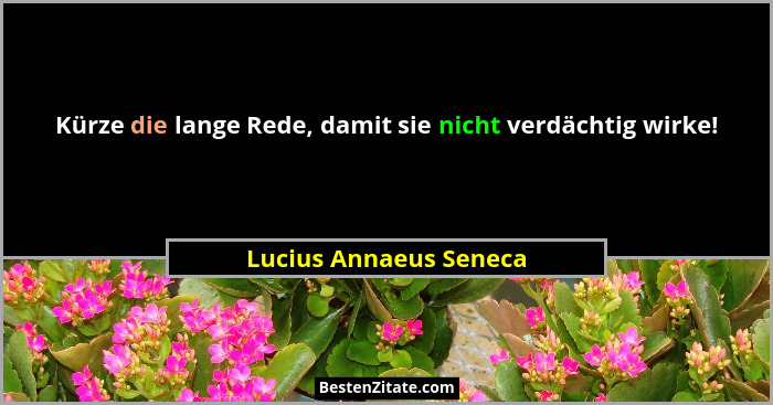 Kürze die lange Rede, damit sie nicht verdächtig wirke!... - Lucius Annaeus Seneca