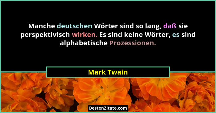 Manche deutschen Wörter sind so lang, daß sie perspektivisch wirken. Es sind keine Wörter, es sind alphabetische Prozessionen.... - Mark Twain