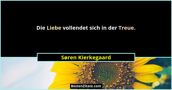 Die Liebe vollendet sich in der Treue.... - Søren Kierkegaard