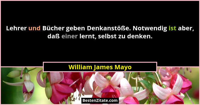 Lehrer und Bücher geben Denkanstöße. Notwendig ist aber, daß einer lernt, selbst zu denken.... - William James Mayo