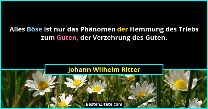 Alles Böse ist nur das Phänomen der Hemmung des Triebs zum Guten, der Verzehrung des Guten.... - Johann Wilhelm Ritter