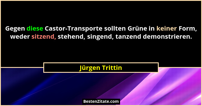 Gegen diese Castor-Transporte sollten Grüne in keiner Form, weder sitzend, stehend, singend, tanzend demonstrieren.... - Jürgen Trittin