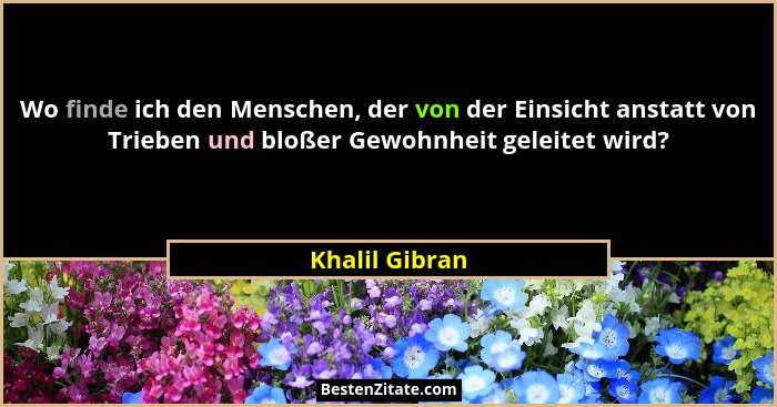 Wo finde ich den Menschen, der von der Einsicht anstatt von Trieben und bloßer Gewohnheit geleitet wird?... - Khalil Gibran