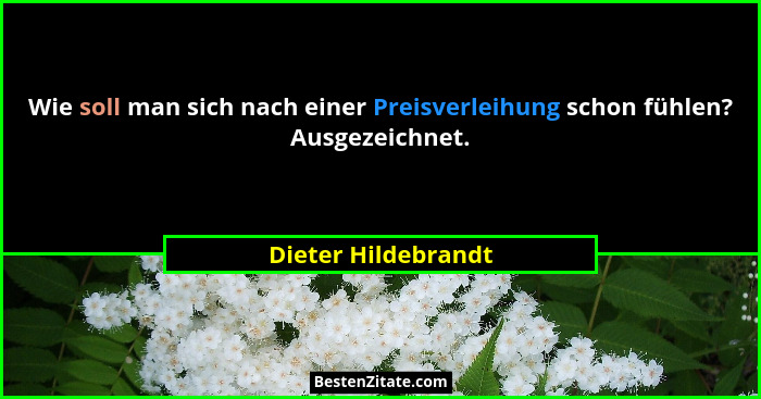 Wie soll man sich nach einer Preisverleihung schon fühlen? Ausgezeichnet.... - Dieter Hildebrandt