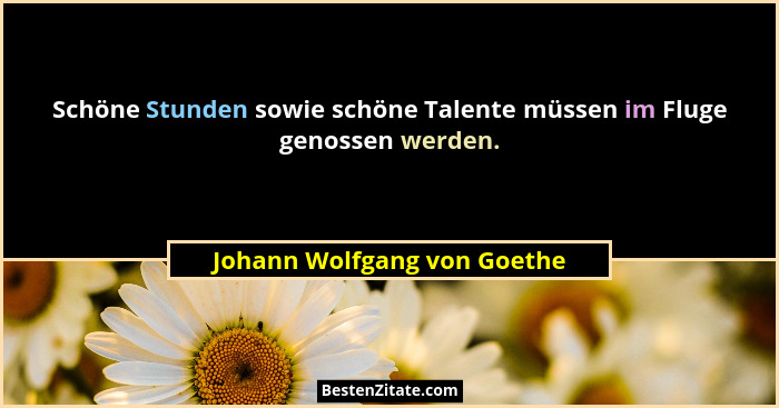 Schöne Stunden sowie schöne Talente müssen im Fluge genossen werden.... - Johann Wolfgang von Goethe