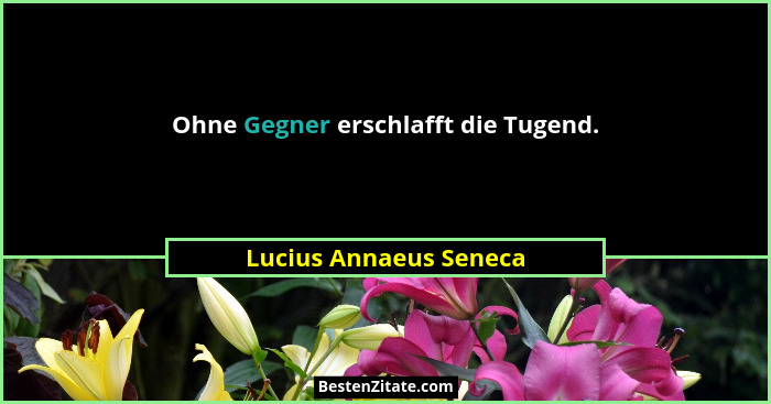 Ohne Gegner erschlafft die Tugend.... - Lucius Annaeus Seneca