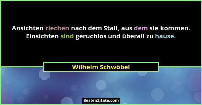 Ansichten riechen nach dem Stall, aus dem sie kommen. Einsichten sind geruchlos und überall zu hause.... - Wilhelm Schwöbel