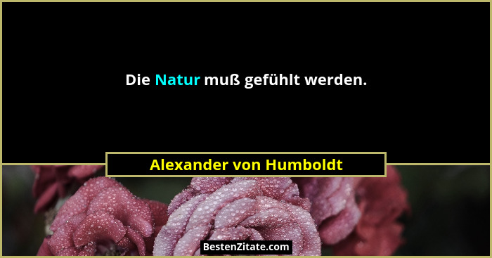 Die Natur muß gefühlt werden.... - Alexander von Humboldt