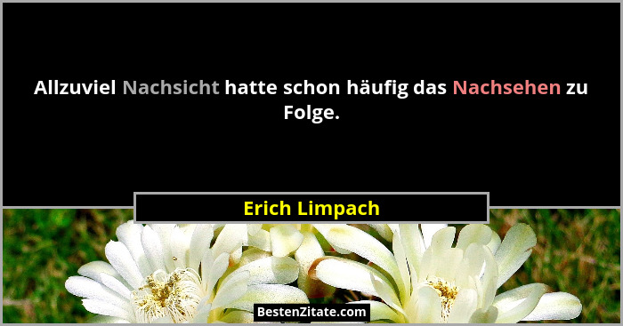 Allzuviel Nachsicht hatte schon häufig das Nachsehen zu Folge.... - Erich Limpach