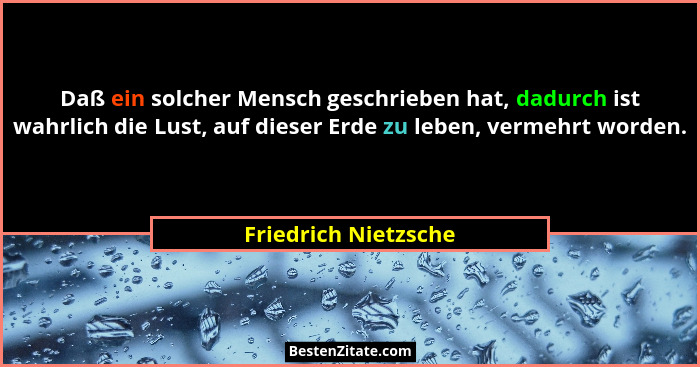 Daß ein solcher Mensch geschrieben hat, dadurch ist wahrlich die Lust, auf dieser Erde zu leben, vermehrt worden.... - Friedrich Nietzsche