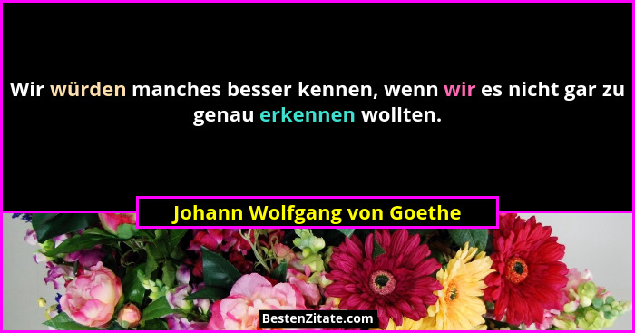 Wir würden manches besser kennen, wenn wir es nicht gar zu genau erkennen wollten.... - Johann Wolfgang von Goethe