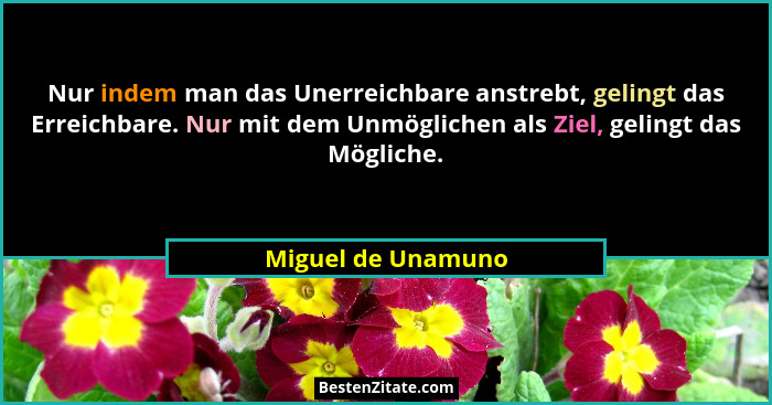 Nur indem man das Unerreichbare anstrebt, gelingt das Erreichbare. Nur mit dem Unmöglichen als Ziel, gelingt das Mögliche.... - Miguel de Unamuno