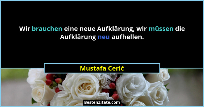 Wir brauchen eine neue Aufklärung, wir müssen die Aufklärung neu aufhellen.... - Mustafa Cerić