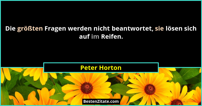 Die größten Fragen werden nicht beantwortet, sie lösen sich auf im Reifen.... - Peter Horton