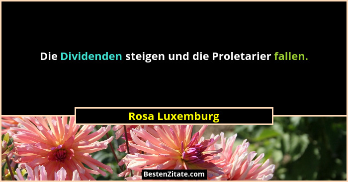 Die Dividenden steigen und die Proletarier fallen.... - Rosa Luxemburg