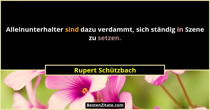 Alleinunterhalter sind dazu verdammt, sich ständig in Szene zu setzen.... - Rupert Schützbach