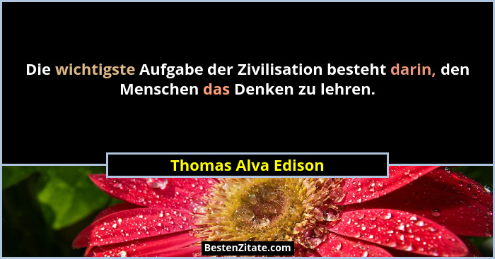 Die wichtigste Aufgabe der Zivilisation besteht darin, den Menschen das Denken zu lehren.... - Thomas Alva Edison