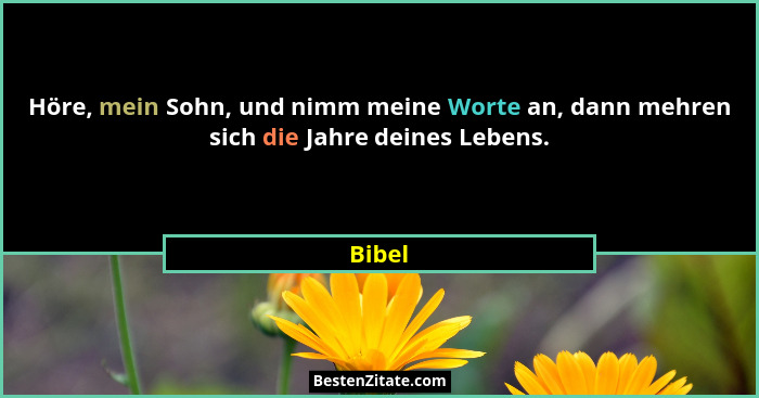 Höre, mein Sohn, und nimm meine Worte an, dann mehren sich die Jahre deines Lebens.... - Bibel