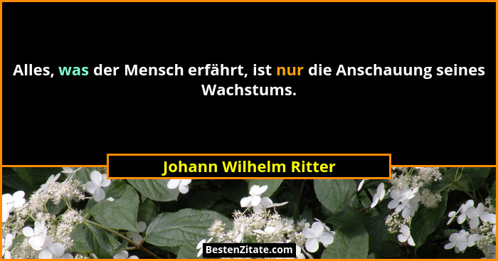 Alles, was der Mensch erfährt, ist nur die Anschauung seines Wachstums.... - Johann Wilhelm Ritter