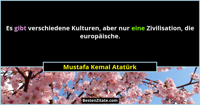 Es gibt verschiedene Kulturen, aber nur eine Zivilisation, die europäische.... - Mustafa Kemal Atatürk