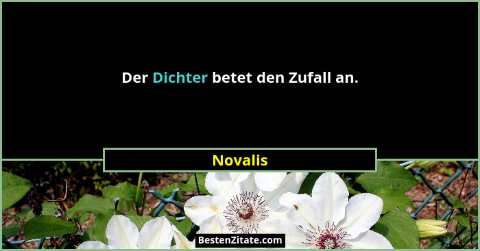 Der Dichter betet den Zufall an.... - Novalis