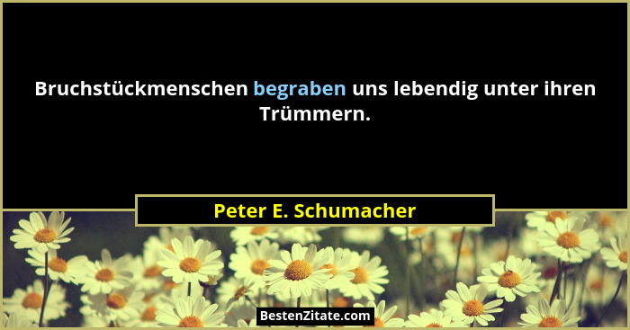 Bruchstückmenschen begraben uns lebendig unter ihren Trümmern.... - Peter E. Schumacher