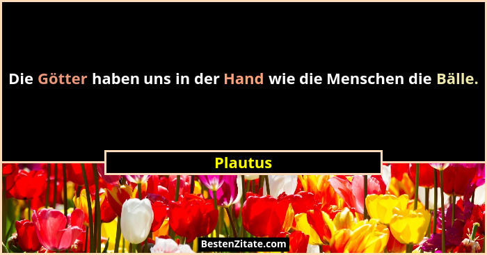 Die Götter haben uns in der Hand wie die Menschen die Bälle.... - Plautus