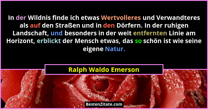 In der Wildnis finde ich etwas Wertvolleres und Verwandteres als auf den Straßen und in den Dörfern. In der ruhigen Landschaft,... - Ralph Waldo Emerson