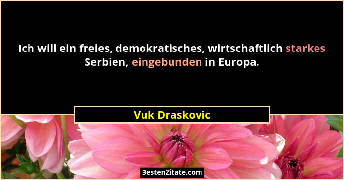 Ich will ein freies, demokratisches, wirtschaftlich starkes Serbien, eingebunden in Europa.... - Vuk Draskovic