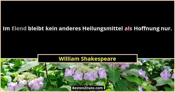 Im Elend bleibt kein anderes Heilungsmittel als Hoffnung nur.... - William Shakespeare
