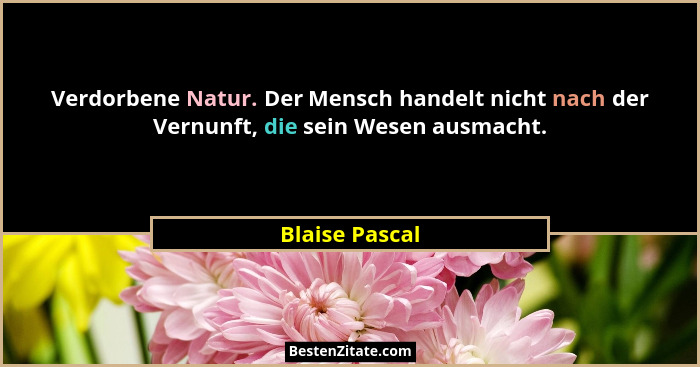 Verdorbene Natur. Der Mensch handelt nicht nach der Vernunft, die sein Wesen ausmacht.... - Blaise Pascal