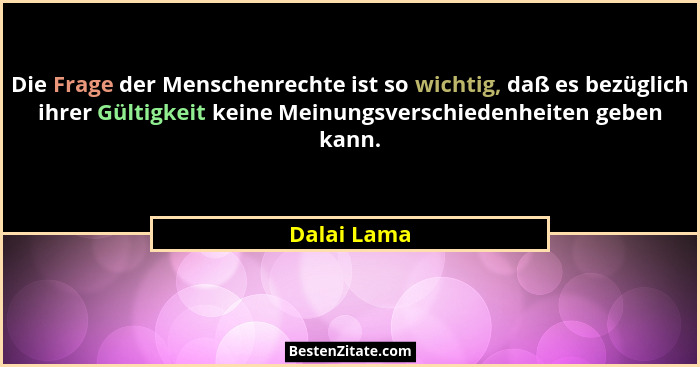 Die Frage der Menschenrechte ist so wichtig, daß es bezüglich ihrer Gültigkeit keine Meinungsverschiedenheiten geben kann.... - Dalai Lama