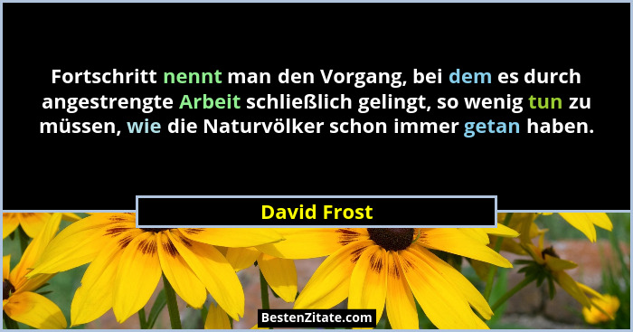Fortschritt nennt man den Vorgang, bei dem es durch angestrengte Arbeit schließlich gelingt, so wenig tun zu müssen, wie die Naturvölker... - David Frost